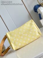 LV Master level Bag