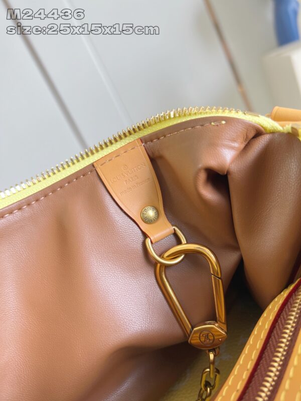LV Master level Bag