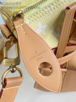 LV Master level Bag