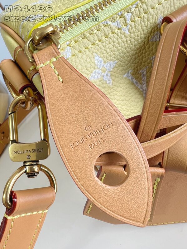 LV Master level Bag
