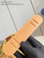 LV Master level Bag