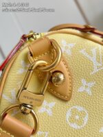 LV Master level Bag