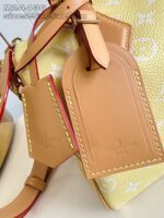 LV Master level Bag