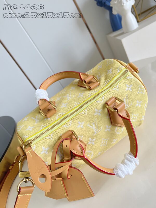 LV Master level Bag