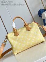 LV Master level Bag