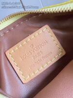 LV Master level Bag