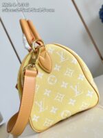LV Master level Bag