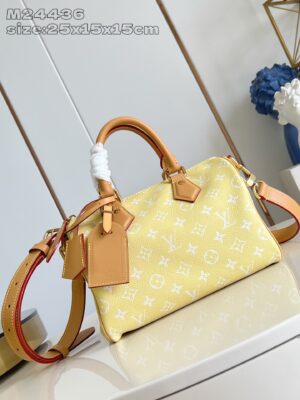 LV Master level Bag