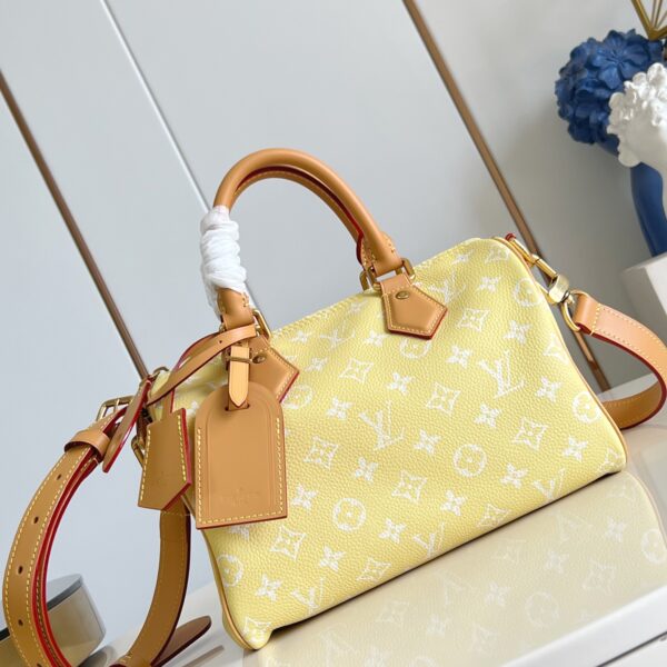 LV Master level Bag