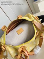 LV Master level Bag