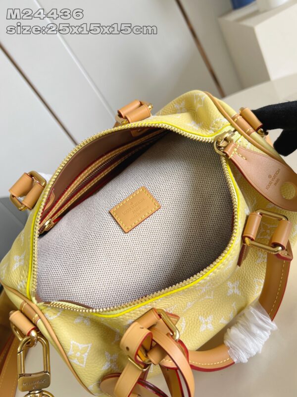 LV Master level Bag