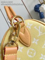 LV Master level Bag