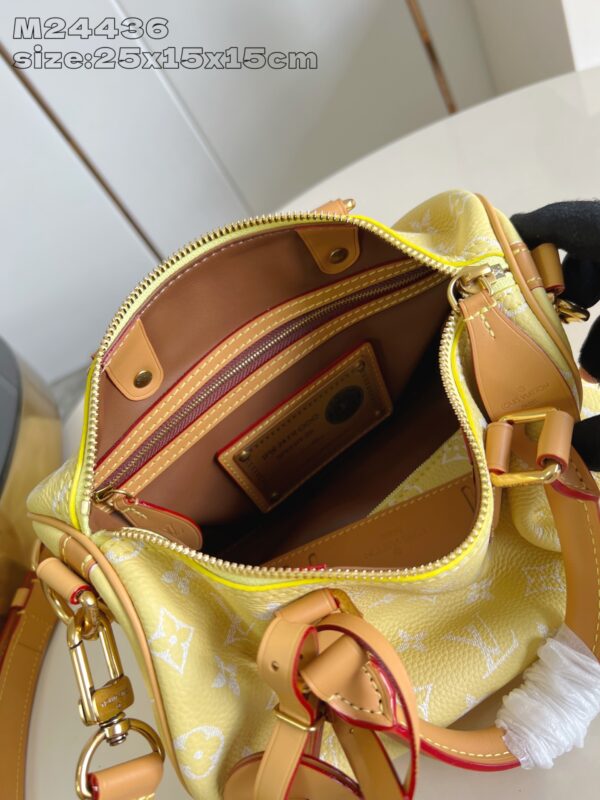 LV Master level Bag