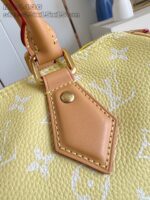 LV Master level Bag
