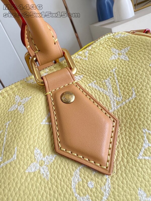 LV Master level Bag
