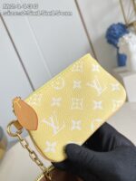 LV Master level Bag