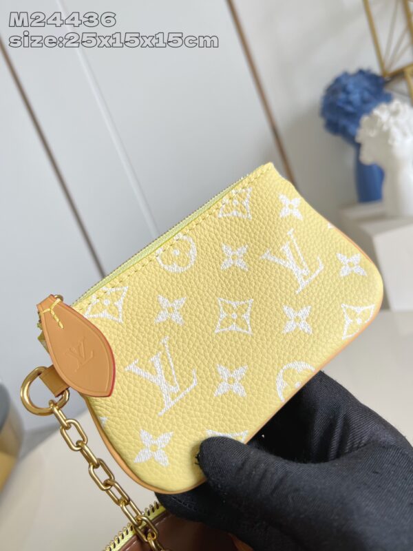 LV Master level Bag