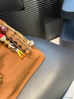 Miumiu Bag 2025