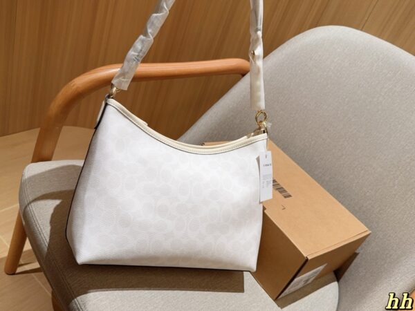 Coach Bag 2025