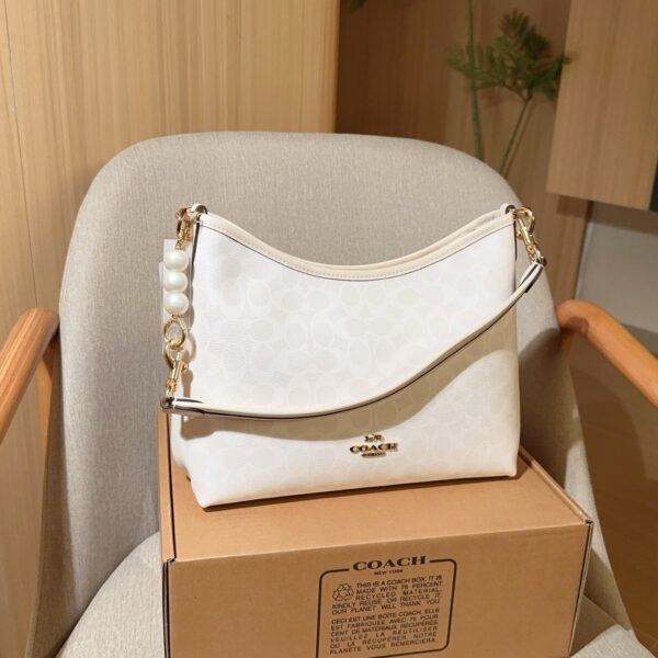 Coach Bag 2025