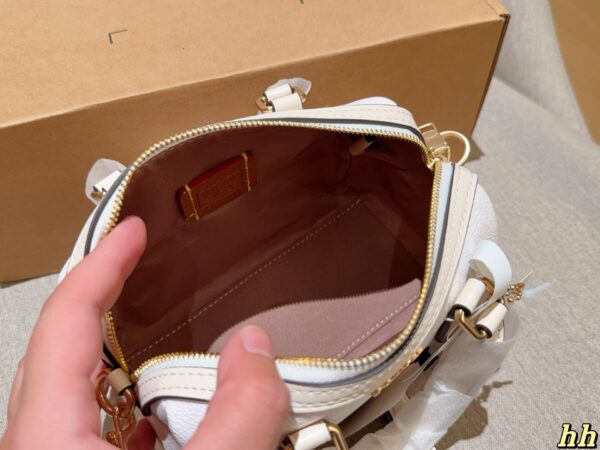 Coach Bag 2025