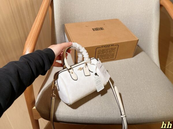 Coach Bag 2025