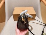 Coach Bag 2025