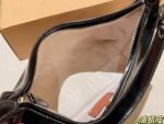 Coach Bag 2025