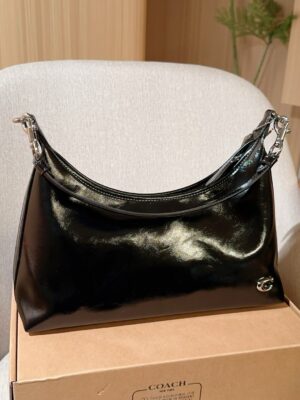 Coach Bag 2025