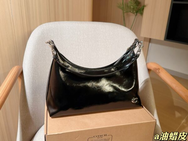 Coach Bag 2025