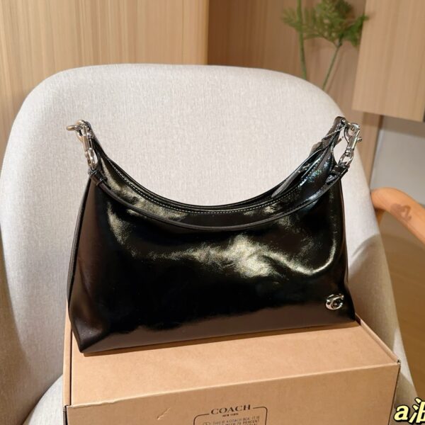 Coach Bag 2025