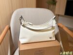 Coach Bag 2025