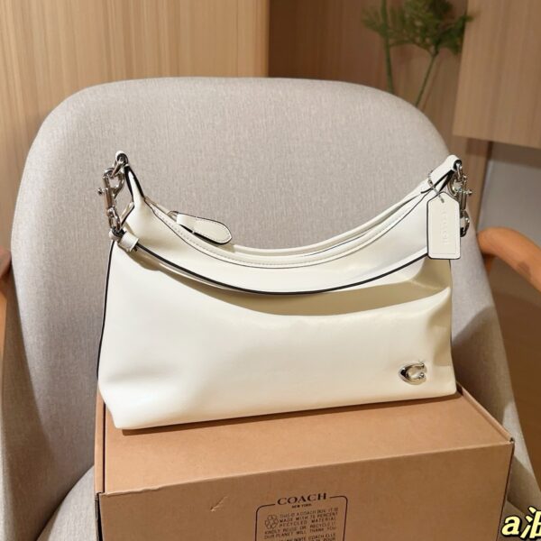 Coach Bag 2025
