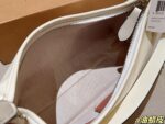 Coach Bag 2025