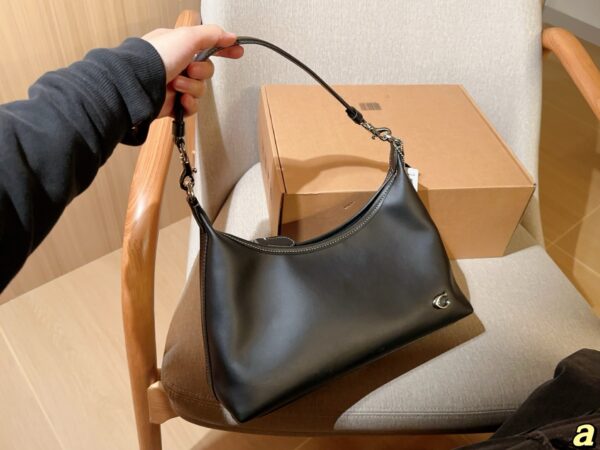 Coach Bag 2025