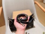 Coach Bag 2025