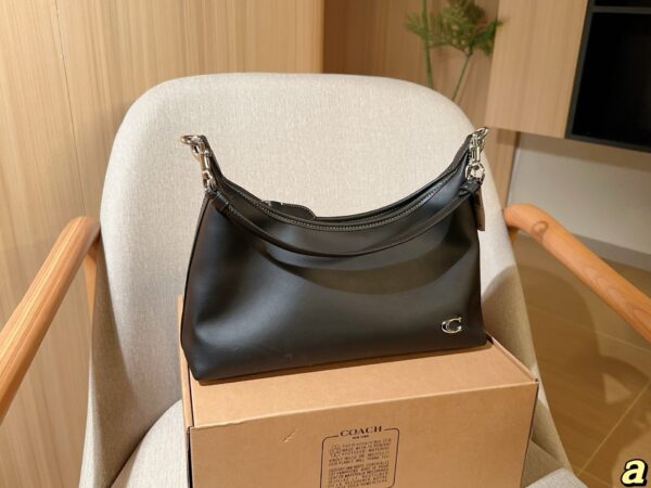 Coach Bag 2025
