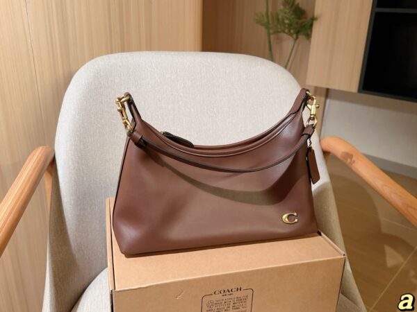 Coach Bag 2025