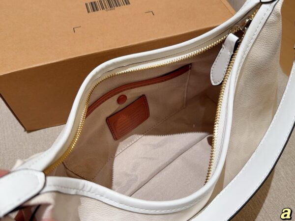 Coach Bag 2025