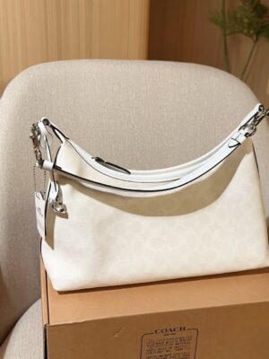 Coach Bag 2025