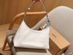Coach Bag 2025