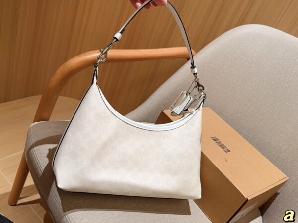 Coach Bag 2025