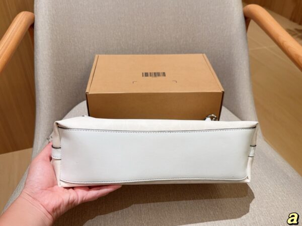Coach Bag 2025