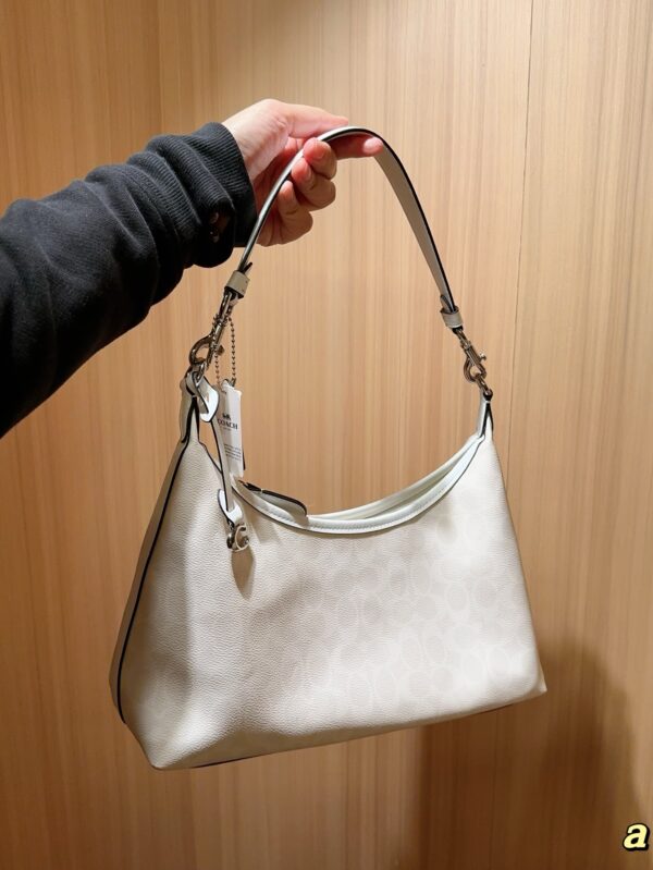 Coach Bag 2025