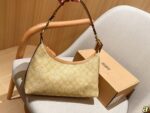 Coach Bag 2025