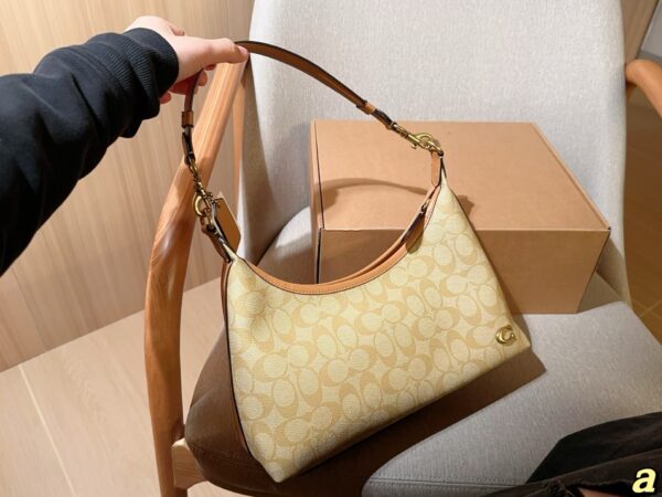 Coach Bag 2025