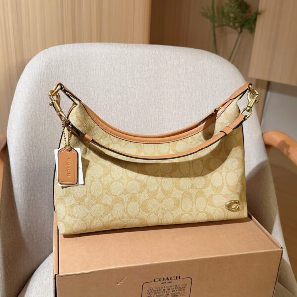 Coach Bag 2025