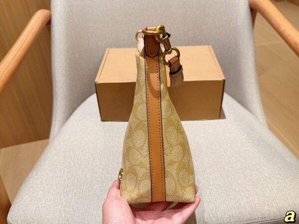 Coach Bag 2025