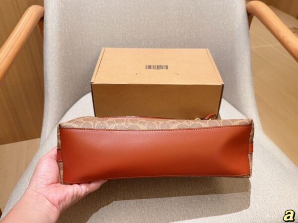 Coach Bag 2025
