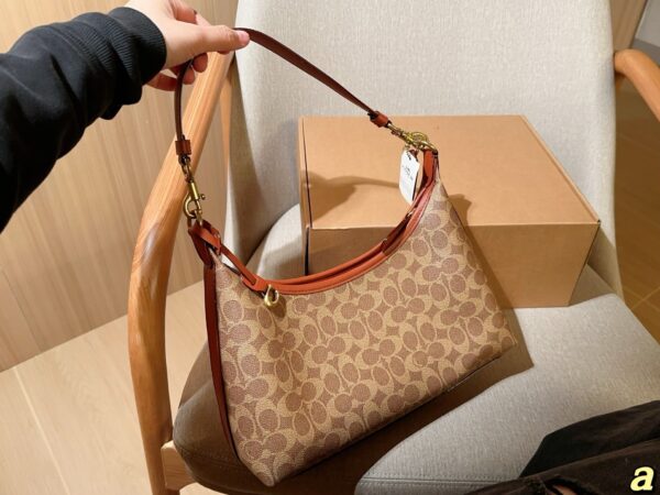 Coach Bag 2025